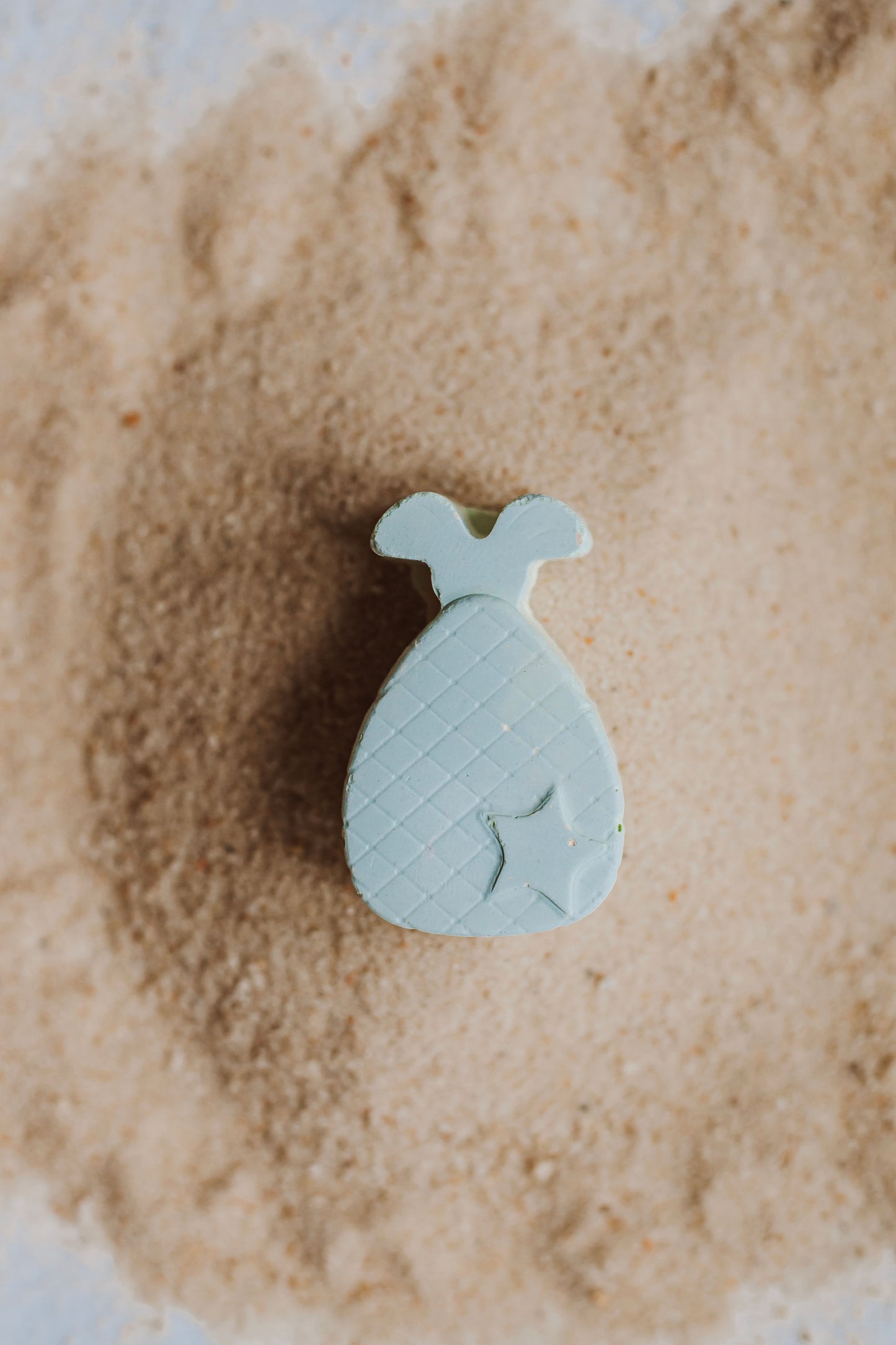 Sea Life Chalk