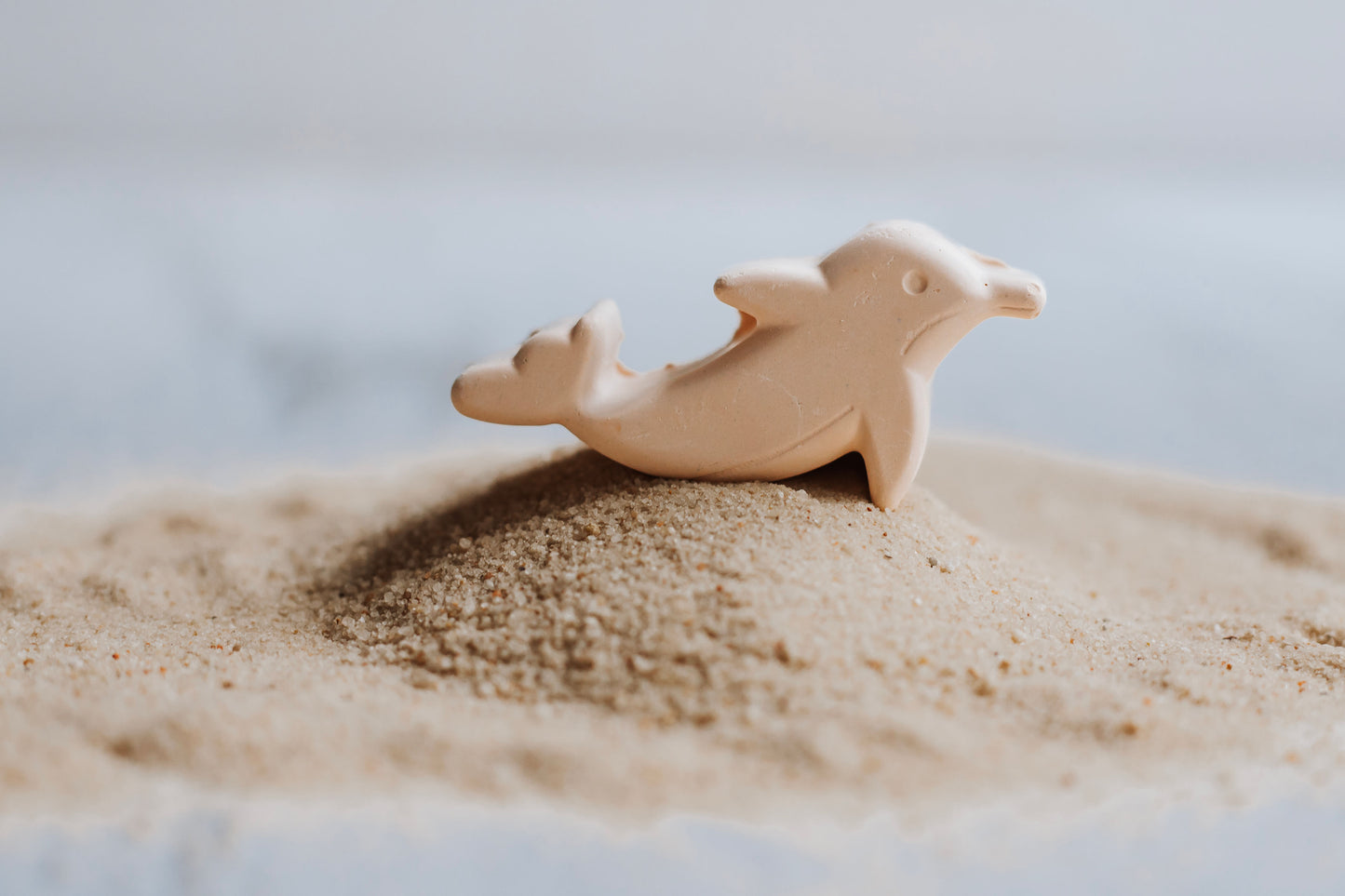 Sea Life Chalk