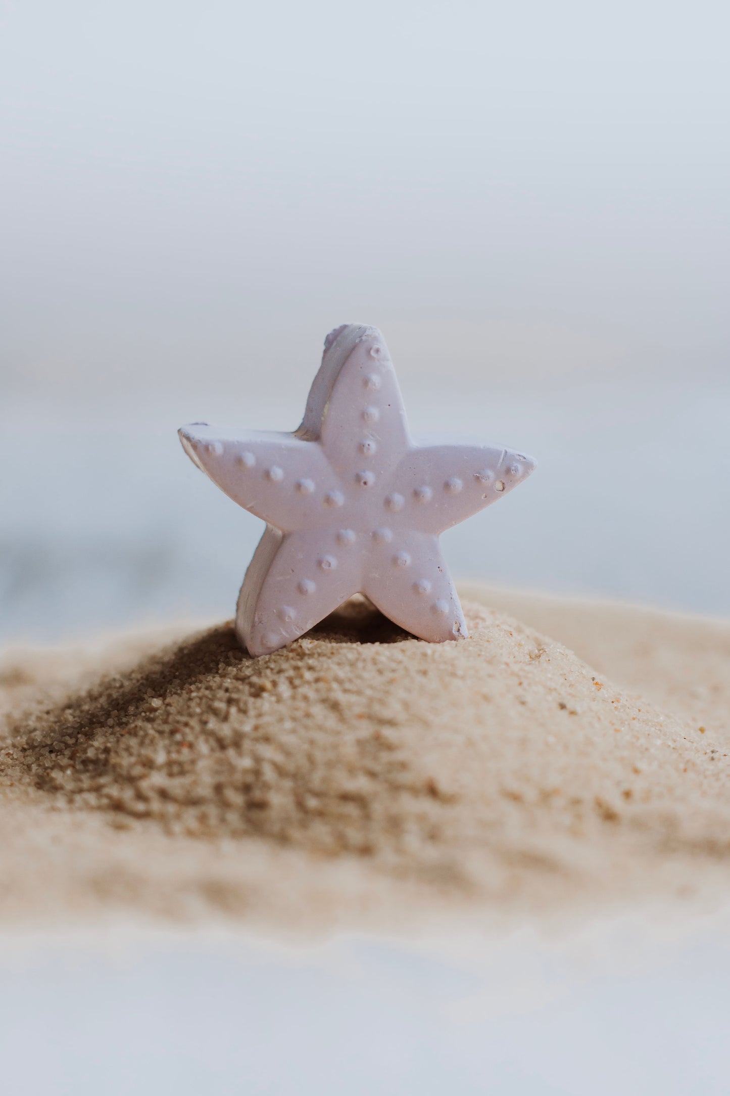 Sea Life Chalk