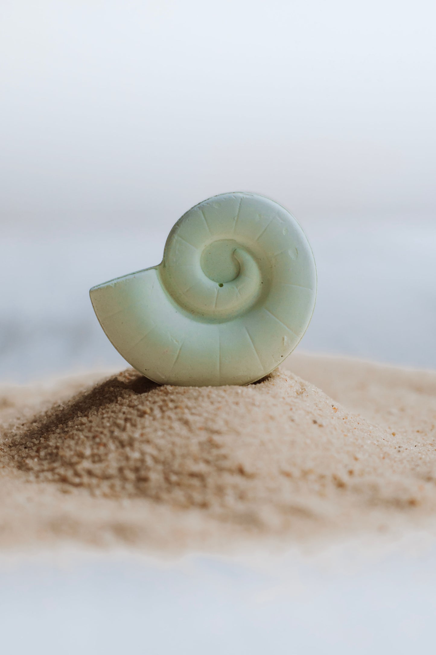 Sea Life Chalk