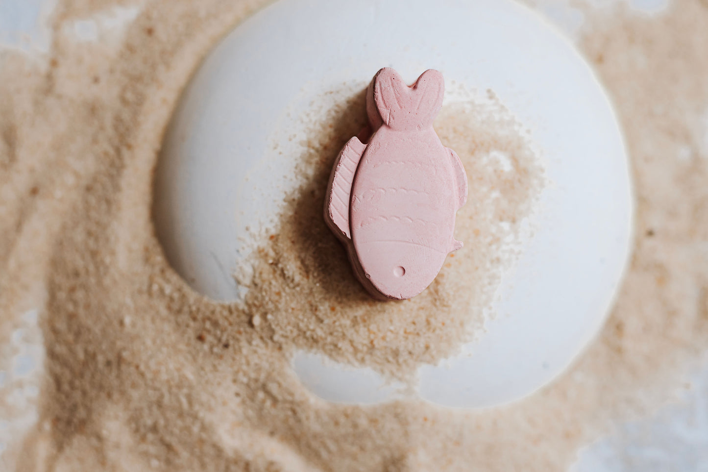Sea Life Chalk