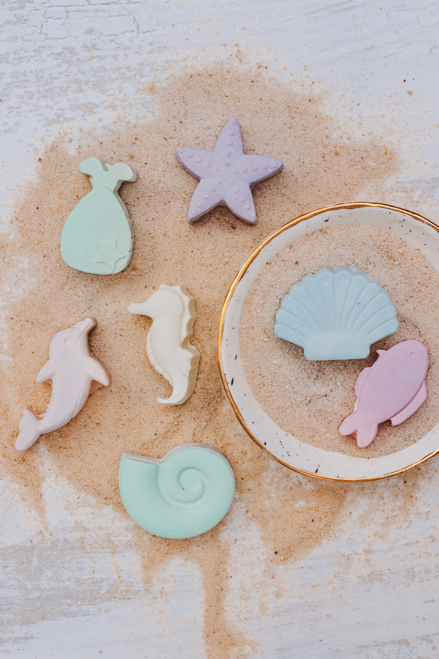 Sea Life Chalk