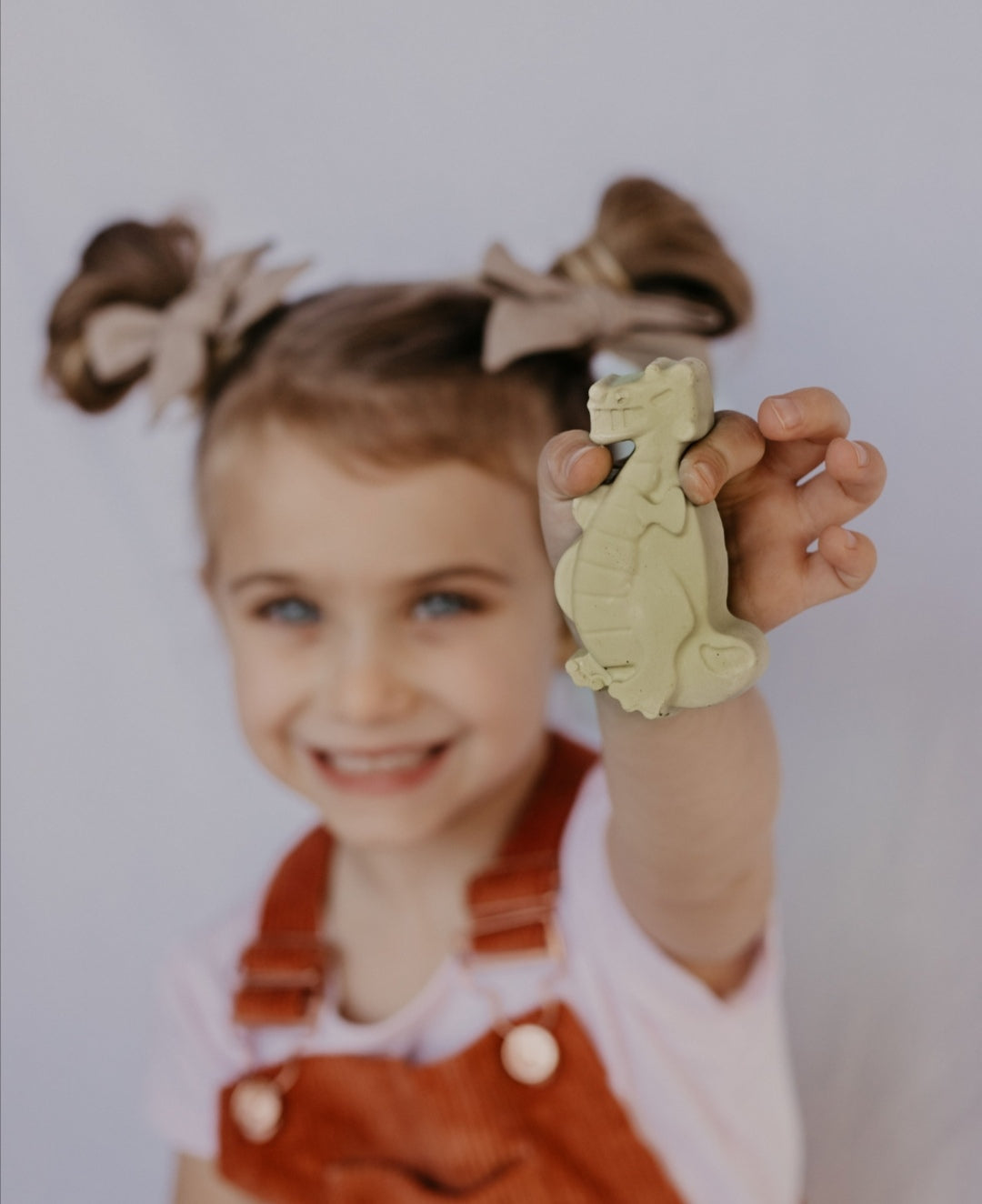 Chunky Dinosaur Chalk