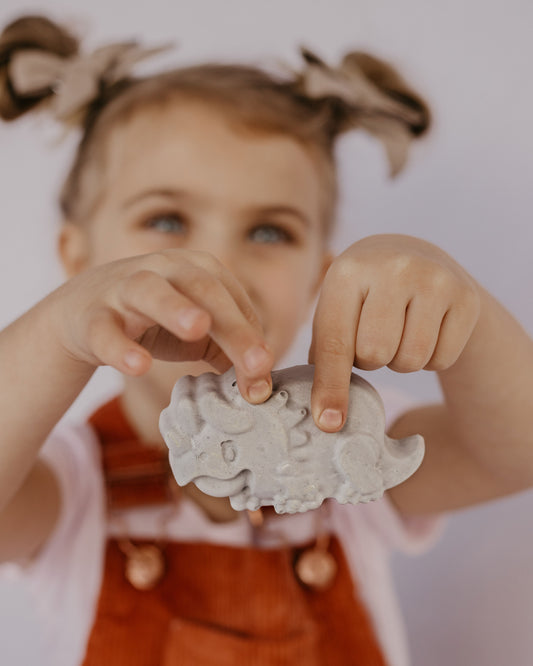 Chunky Dinosaur Chalk